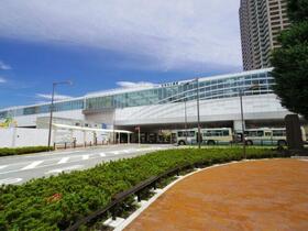 17/17 その他画像