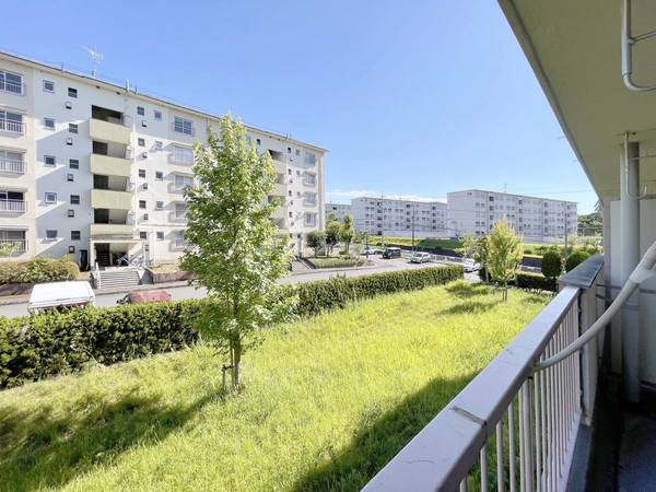 12/17 その他画像