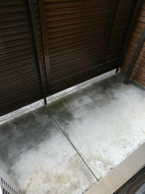 10/11 その他画像