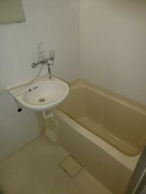 5/11 その他画像