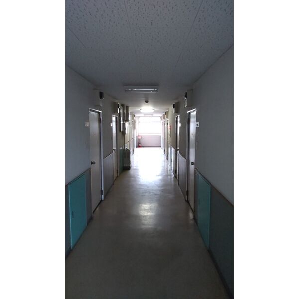 3/15 その他画像