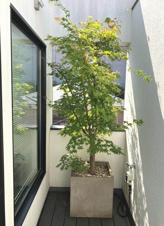 15/20 その他画像