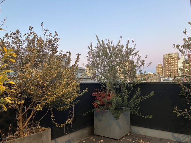 16/20 その他画像