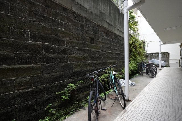 6/12 その他画像