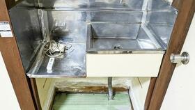 3/14 その他画像