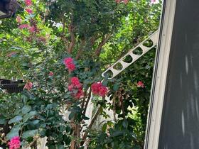 10/15 その他画像