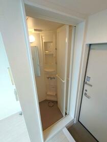 5/11 その他画像