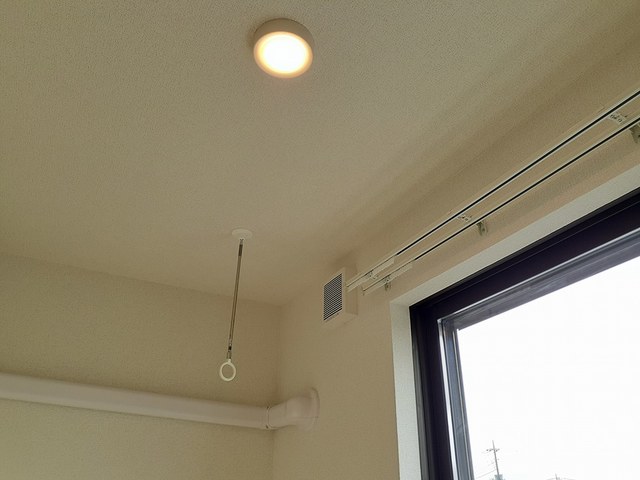 11/23 その他画像