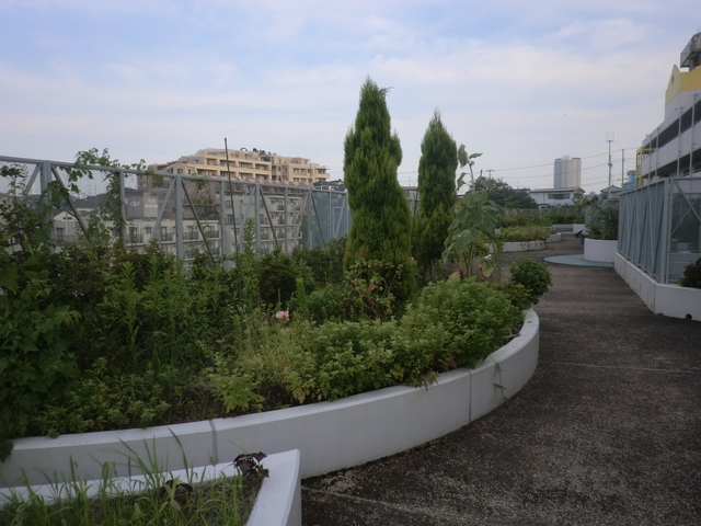 17/23 その他画像