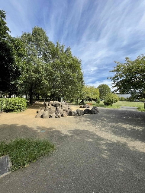 15/29 その他画像