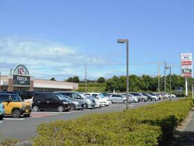 16/17 その他画像