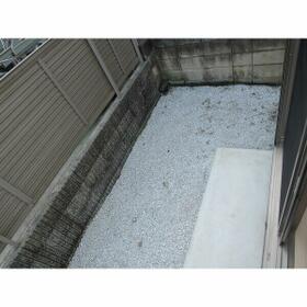 11/11 その他画像