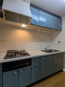 3/16 その他画像