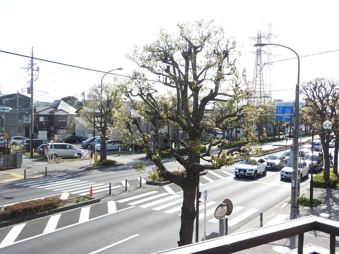 13/17 その他画像