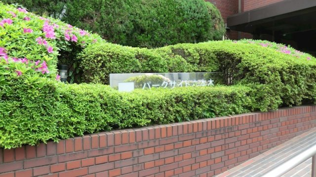 16/25 その他画像