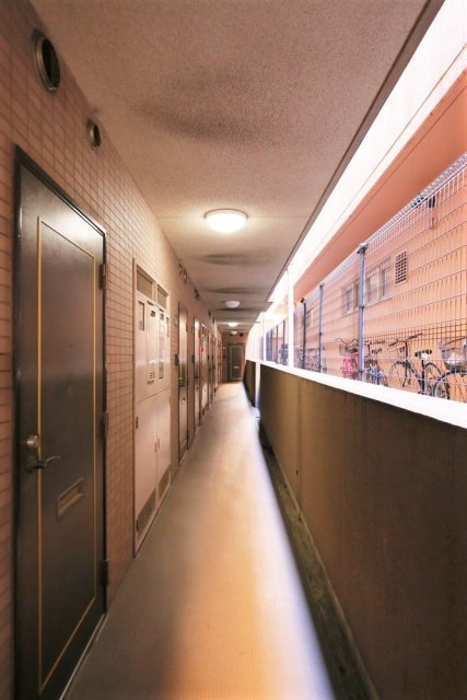 8/11 その他画像