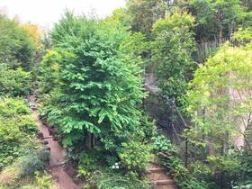 15/16 その他画像