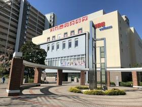 16/17 その他画像