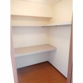 11/11 その他画像