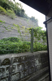 11/15 その他画像