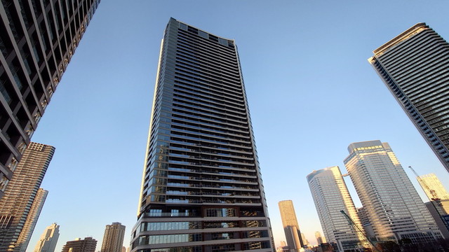 11/16 その他画像