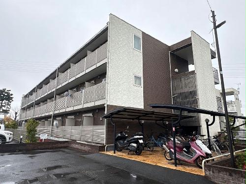 3/17 その他画像