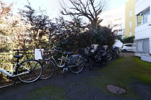 5/13 その他画像