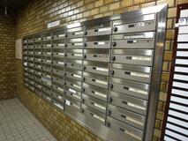 6/15 その他画像