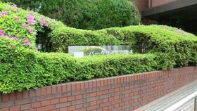 16/16 その他画像