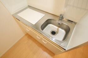 5/16 その他画像