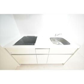 5/16 その他画像