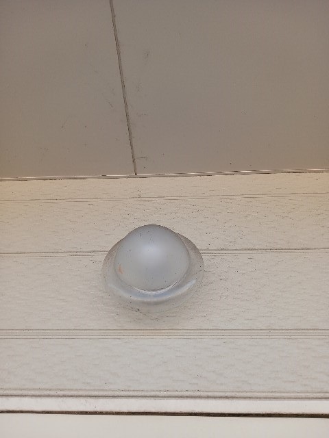 7/20 その他画像