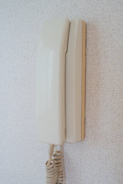 11/15 その他画像