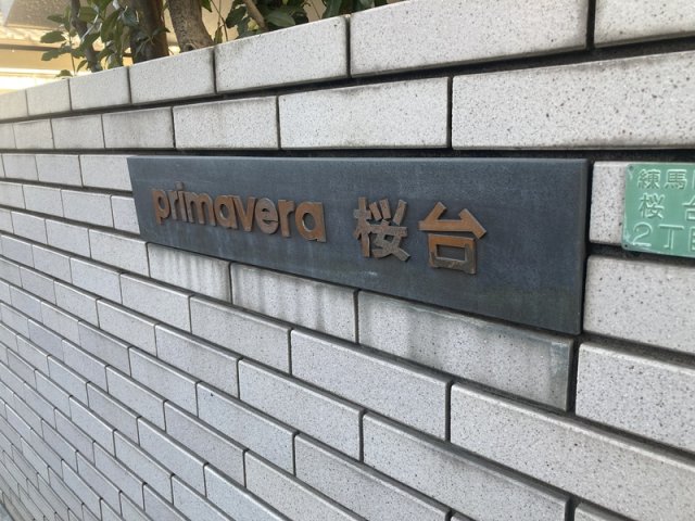 11/11 その他画像