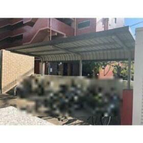 11/13 その他画像