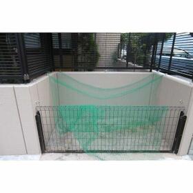 8/16 その他画像