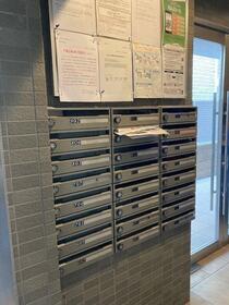 6/16 その他画像