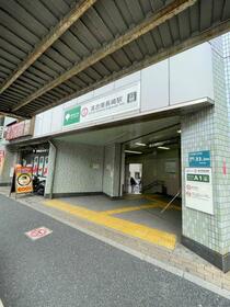 17/17 その他画像