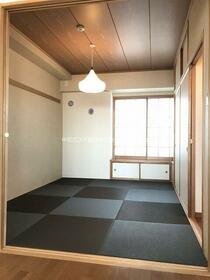 15/16 その他画像