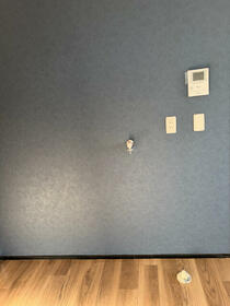 8/11 その他画像