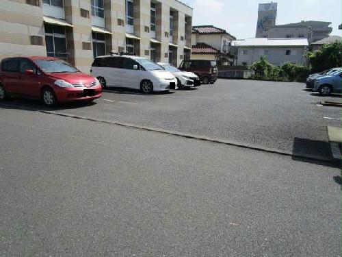 11/14 その他画像