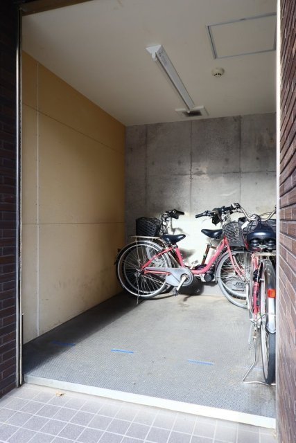 5/15 その他画像