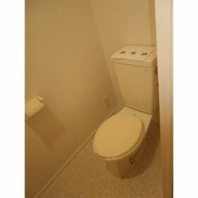 13/13 その他画像