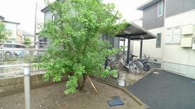 15/16 その他画像