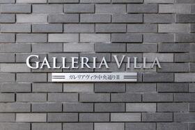 15/16 その他画像