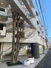 3/13 その他画像