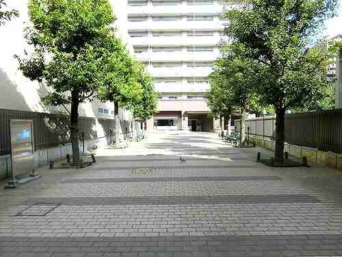 7/15 その他画像