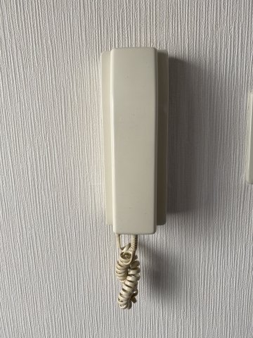 11/22 その他画像