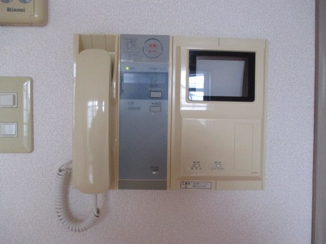 29/29 その他画像