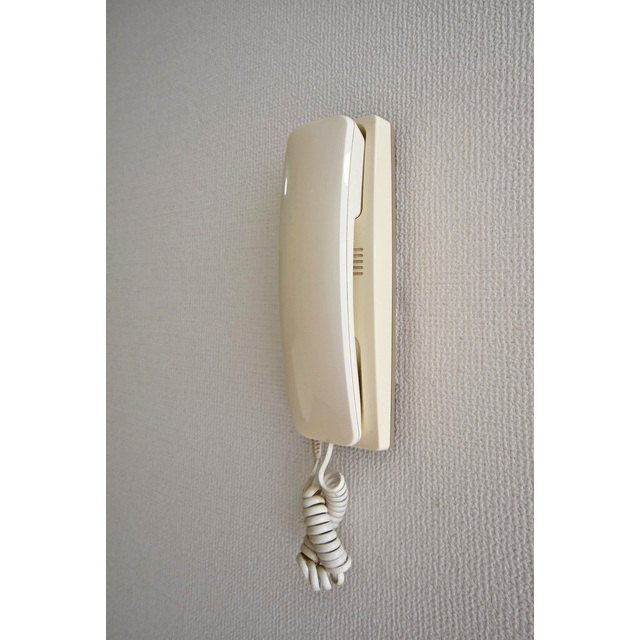 15/30 その他画像